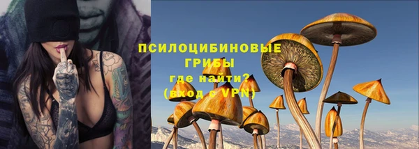 хмурый Инсар