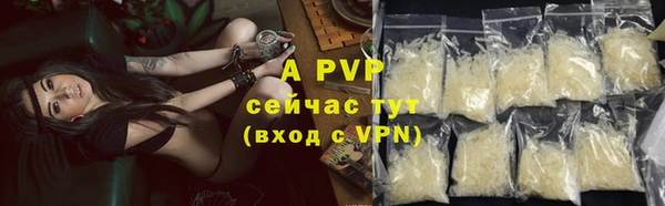 хмурый Инсар