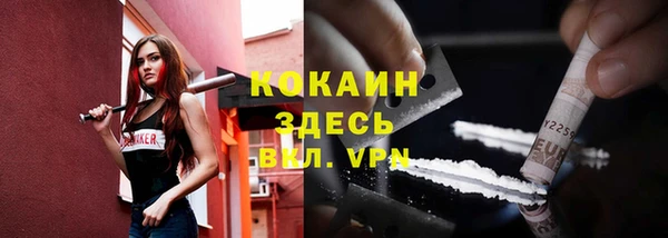 mdpv Инта