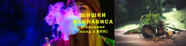 хмурый Инсар
