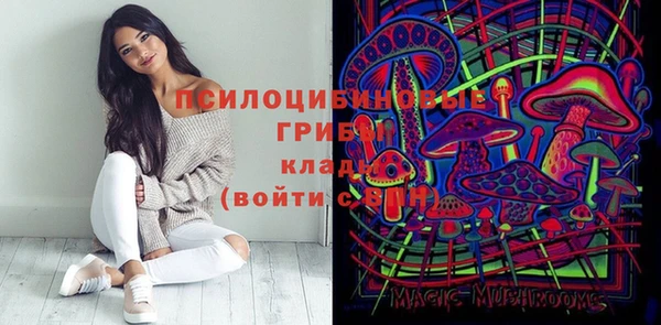 хмурый Инсар