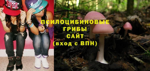 хмурый Инсар
